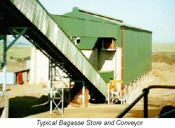 Bagasse Store